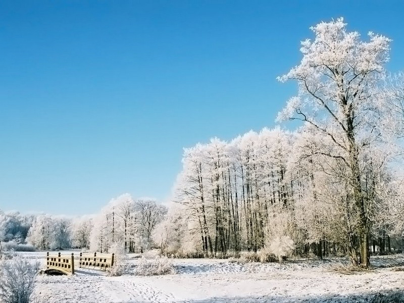 Парк Несвижского замка Беларусь, Несвижский замок, парк