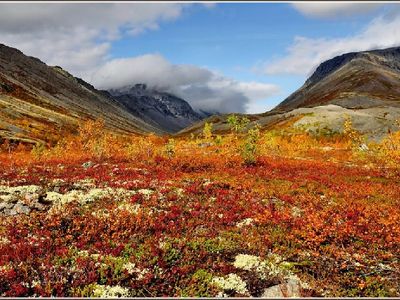 chukotka tundra