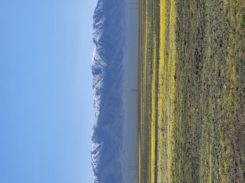 kazahstan kirgiziya 01