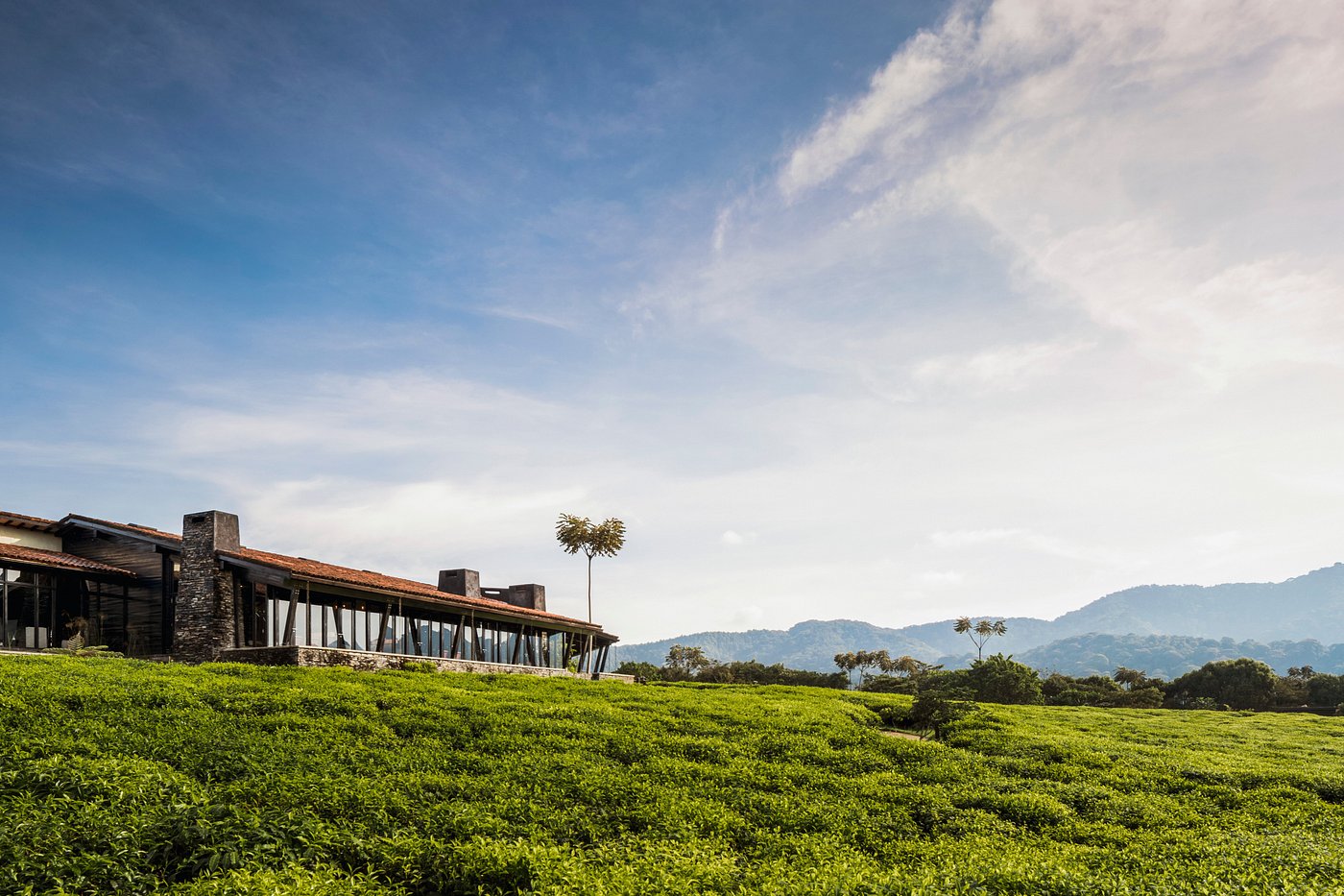 One & Only Nyungwe House One & Only Nyungwe House