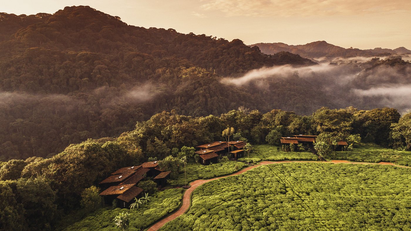 One & Only Nyungwe House One & Only Nyungwe House