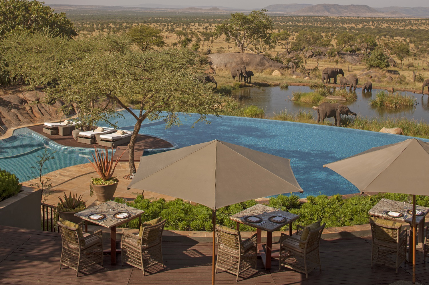 Four Seasons Serengeti 5*, Savannah Room Four Seasons Serengeti 5*, Savannah Room