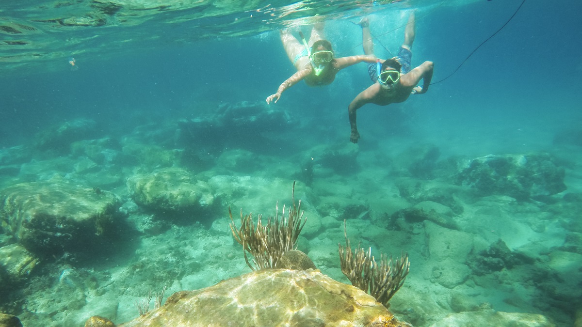 Подводный мир Чорони choroni snorkeling