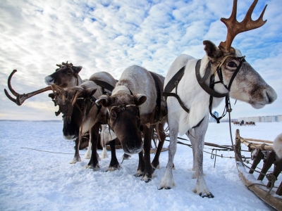 yamal 00